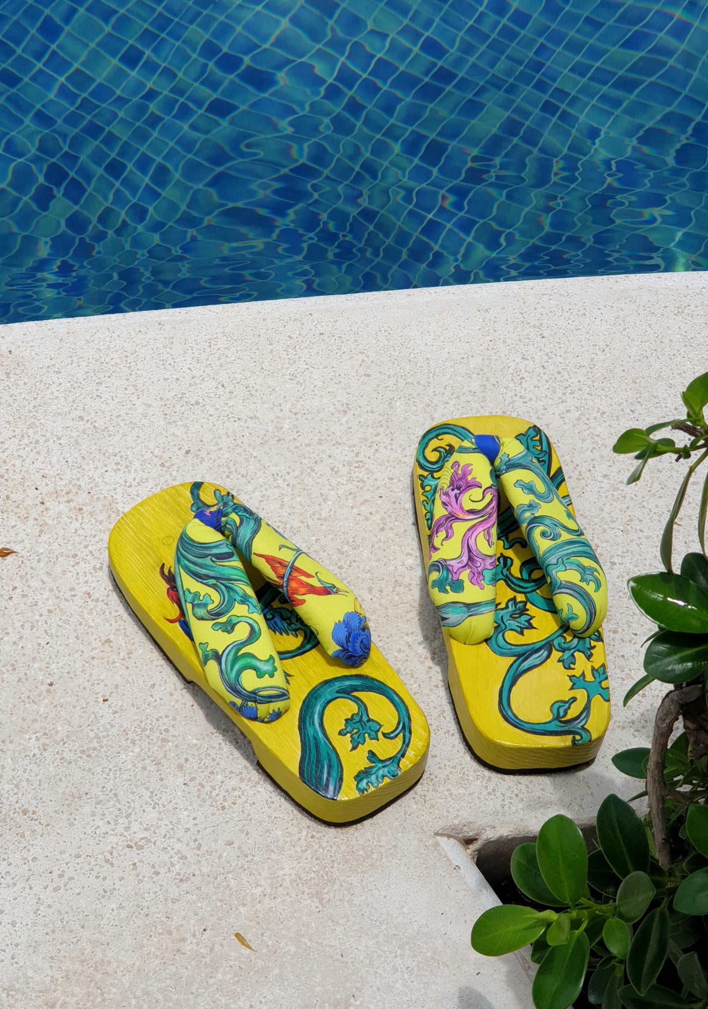 GETA_"Grapevine"
