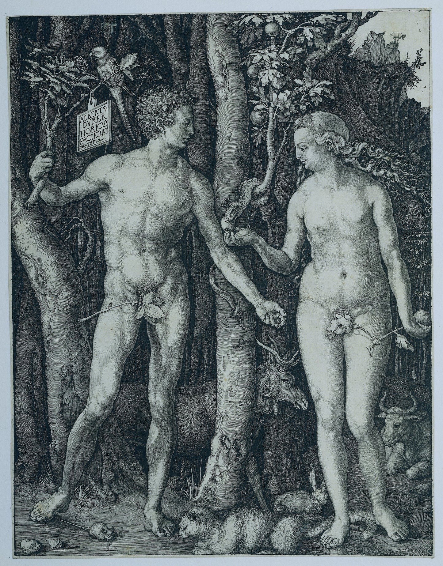 Eva (Dürer)