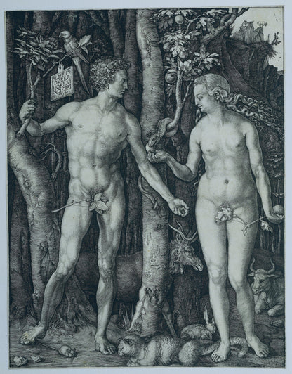 Adam (Dürer)