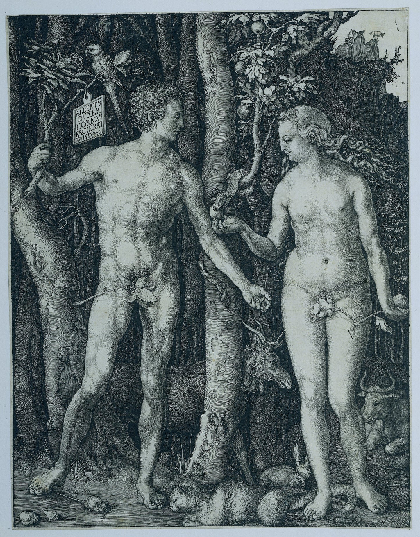 Adam en Eve (Dürer)